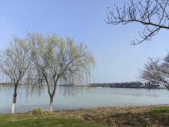 -贡湖湾湿地公园