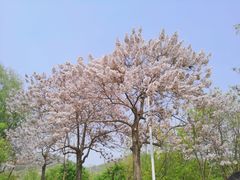 -石家庄市动物园