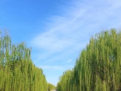 -海棠花溪(元大都城垣遗址公园)