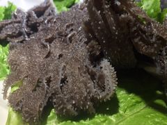 鲜毛肚-小洋府铜锅涮肉(南锣鼓巷店)