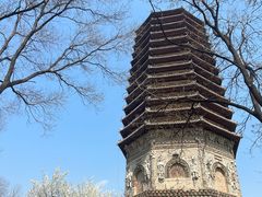 -玲珑塔公园