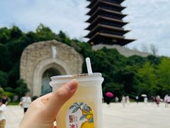 -牛首山文化旅游区