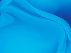 荠菜春卷-朱鸿兴面馆(镇湖店)