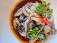 凉拌八爪鱼-侬佳蒸菜馆(听潮店)
