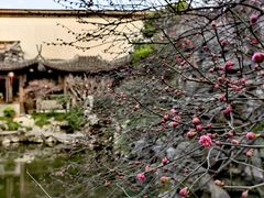 -胡雪岩故居