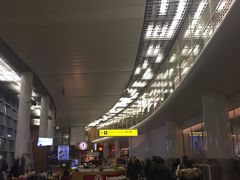 -谢列梅捷沃国际机场