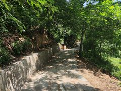 -大岭沟猕猴桃谷风景区