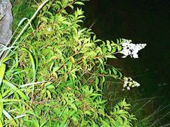 -萍乡武功山风景名胜区