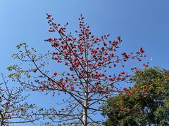 -风云岭森林公园