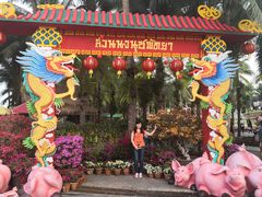 -东芭乐园