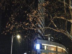 -阳光雷迪森广场酒店(中山东路店)