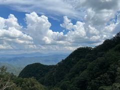 -栾川竹海野生动物园