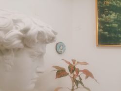 -杨丹国际美学肌研所