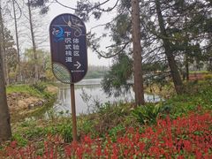 -东平国家森林公园