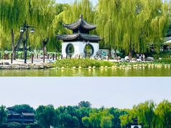 -陶然亭公园