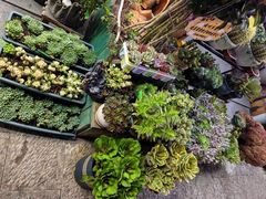 -老姐石板烧烤+铜炭火锅(总店)