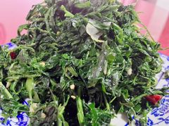 -照金特色农家乐