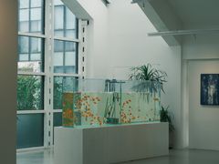 -苏州湾体育公园