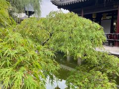 -常熟方塔园