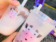 -一只酸奶牛(奎星楼店)