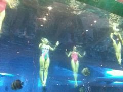 -瑞德姆美人鱼海底演艺主题餐厅(亚龙湾店)