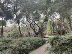 -房湖公园