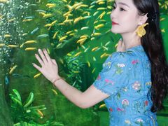 -合肥海洋世界