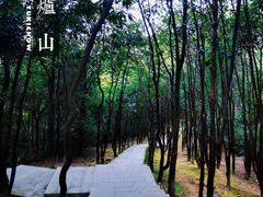 -火炉山森林公园