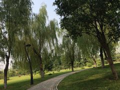 -洨河生态公园