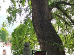 -报恩寺(平武县)