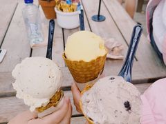 -Patagonia Chocolates(皇后镇店)