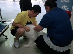-申普宠物医院·眼科·心内科·影像科(普陀分院)