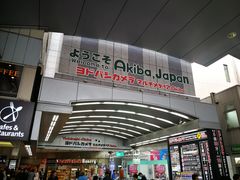 -秋叶原电器街