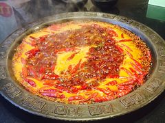 -铜元老码头鳝鱼火锅