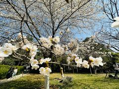 -西安青龙寺遗址景区
