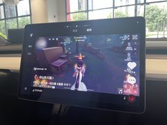 -TESLA 特斯拉(深圳观澜特斯拉直营钣喷中心)