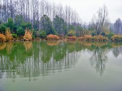-石塘人家