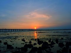 -宝安西湾红树林湿地公园