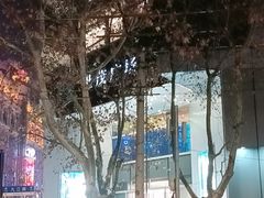 -春秋旅游航空(西藏路分部)