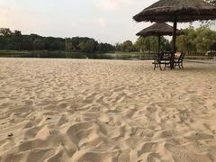 -上海佘山世茂艾美酒店