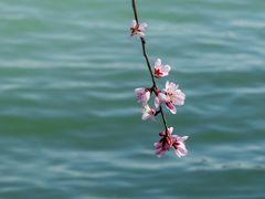 -颐和园