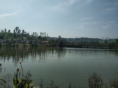 -枫香湖儿童公园