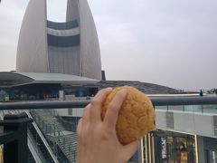 -香港深井掂檔烧鹅茶餐厅(海韵城店)