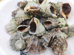 -北戴河庆山饭店·海鲜砂锅粥(北戴河黑石路店)