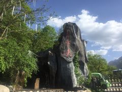 -青峰峡国家森林公园