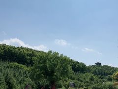 -威海华夏城景区