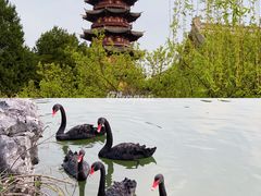 -盘门景区