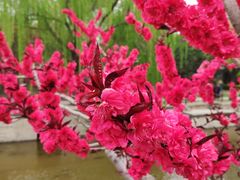 -元大都城垣遗址公园