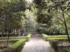 -上海佘山国家森林公园天马山园