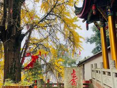 -金堂县云顶石城风景区